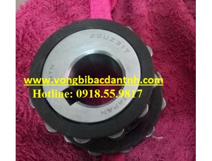 VÒNG BI 22UZ317 - BẠC ĐẠN 22UZ317 - NTN